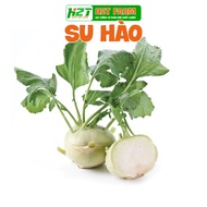 Sweet, Crispy Kohlrabi Seeds, Easy to Grow - H2T FARM
