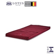 LOTUS ที่นอนยางพาราแท้ 100% ทดแทนที่นอนเดิม โดยไม่ต้องเปลี่ยนที่นอนใหม่ นำเข้าจาก Belgium ส่งฟรี