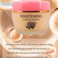 ♞,♘Natural Color Whitening Sheep Placenta Andrea's Secret Whitening Foundation