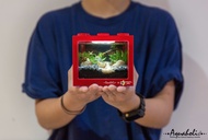 Concept X Plus - Mini Building Block Ecological Tan | Chai Wan