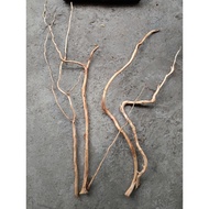 Driftwood Root 3pcs.