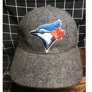 Toronto Blue Jays-Woll-Gray-Adult