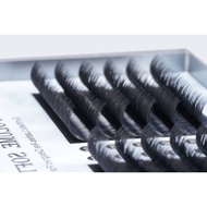 Mysa's Camellia Blossom Eyelash Extension DD Curl (0.07)