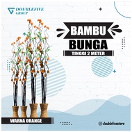 15 BATANG KERAJINAN BAMBU ULIR ANYELIR BUNGA