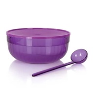 Tupperware Punch Bowl (1) 6.0 L with Ladle