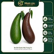 Avokado 034 Tiruan 23cm | Artificial Avocado 034 | Hiasan Rumah & Fotografi