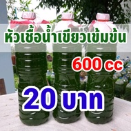 โชคดี168 (1แถม1) หัวเชื้อ น้ำเขียว เข้มข้น ( น้ำเขียว คลอเรลล่า) 1 ขวด ขนาด 600 ml. พร้อมคลิปสอนอย่