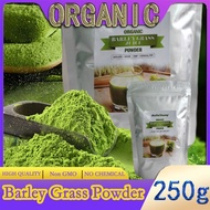Organic Barley Grass Powder original 250g barley grass official store pure organic barley RAW, GREENISH LIKE LEAVES, NO PRESERVATIVE,NON GMO