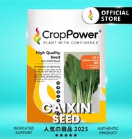 TOP RATED 🌟 (50 GRAM) Biji Benih Sawi Putih Jumbo Green 绿珍 CX9 CROP POWER F1 Hybrid Caixin seeds 菜心种