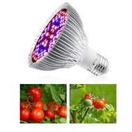Plants Growing Light Bulb  Full Spectrum Grow for Vegetable Seedlings