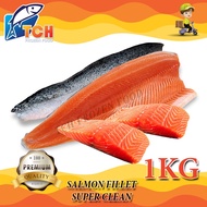ISI SALMON, SALMON FILLET FISH , TCH FROZEN FOOD, FRESH FROZEN SEAFOOD, WHOLESALE SUPPLIER, FISH, IK