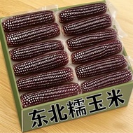 Black Glutinous Corn 10 Sticks Fresh Corn Sticks Meal Replacement Black Glutinous Corn Soft Glutinou