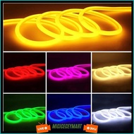 Flexible Neon Light Package 220V 1M 2M 3M 4M 5M 5 Meters Just Plug In Outdoor Ip65 Diy Letters 220V 