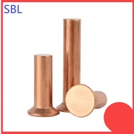 Copper countersunk head rivets GB869 percussion type flat head flat cone head solid rivets Copper d 