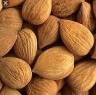 [READY] Biji aprikot pahit organik / Bitter apricot kernel organic