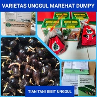 BIBIT BENIH BIJI KECAMBAH SAWIT UNGGUL DXP PPKS MAREHAT DUMPY UNGGUL/BIBIT BENIH BIJI SAWIT DXP PPKS