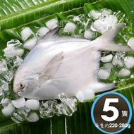 【華得水產】 鮮嫩野生白鯧魚5尾組(220-280G/尾)