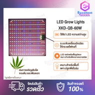 LED Grow Lights XKD-QB-60W ไฟปลูกต้นไม้ LED สเปกตรัมเต็มรูปแบบ ลูกปัดโคมไฟที่มีประสิทธิภาพสูง เหมาะสำหรับพืชหลากหลายชนิด หลากหลายพื้นที่ใช้งาน เหมาะสำหรับพื้นที่เพาะปลูกพืชในร่ม เช่น โรงเรือน ภายในอาคาร