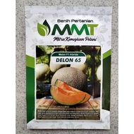 Benih Melon F1 DELON 65 10 Gram (400 biji) - Bibit Melon Hibrida DELON 65