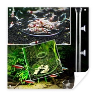 ***Ready Stock***Feeding tube fish and shrimp feeding tube  Feeding plate