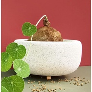 Katombimai A Eco-Friendly Pot Lightweight Brick D03 Plant