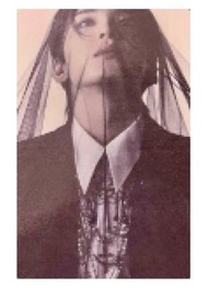 [Wonwoo全圓佑] Seventeen JXW 頭紗圓