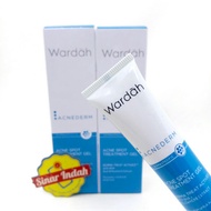 WARDAH Acnederm Acne Spot Treatment Gel 15 ML - Acne Spot Treatment