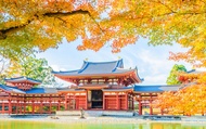 [One-Day Uji Nara Onsen Tour] Nara Park with Deer Crackers + Todai-ji Temple + Uji Byodo-in Temple +