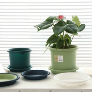 🌼 Pots Alice Pasu Bunga Bunga Tadah Besen Dulang Hidangan Hidangan Kusyen Tempat Duduk Kerusi Kusyen Bunga Casis Plastik