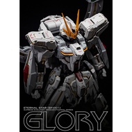 Ready Stock New Edition Supreme Evolution Eternal Star Glory MG 1/100 Stargazer Assembled Model Kit