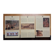 1998 WWF World Wide Fund for Nature Stamp 4v setenant MNH 3 Leaflets Somali Somalia ørkengaupe cat k