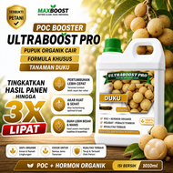 Pupuk Organik Cair UltraBoost Pro Khusus Tanaman Duku Langsat - Nutrisi Lengkap untuk Hasil Panen Le