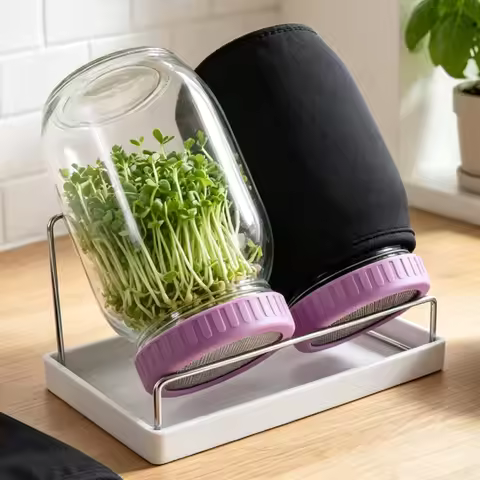 2Pcs Seed Sprouting Jar Wide Mouth Mason Jar with Sprout Lid Sprout Growing Kit Seed Germinator Stan