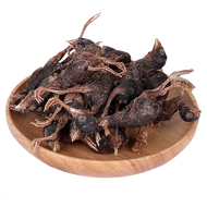 Pet Snacks Cat Dog Universal Dehydrated Snacks Weight Gain Cheek Fattening Freeze-Dried Snacks Guine