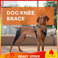 [In Stock]  Mobility Aid for Dogs with Joint Problems Dog Knee Brace for Acl Injury Dog Knee Brace f