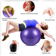 Premium Anti-Burst Gym Ball Yoga Ball 55/65/75/85 cm. Professional Grade Free Pump!