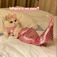 Hot Sale Cat Clothes, Mermaid Funny Costume, Pet Kitten Plush Fish Tail Decor, Silly Dress Up Photo 