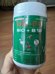 BIO + B12 - Úm gà con hàng Thái