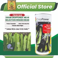 CROP POWER WB48 BIG FOUR WINGED BEAN SEEDS/ KACANG KELISA BIJI BENIH/GERISA/KACANG BOTOL/NON GMO SEE