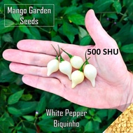 Benih White Biquinho Pepper - 5 Biji Sesuai Tanam Pasu Cili Putih - Mango Garden Seeds