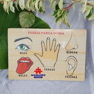 Children's Educational Toy Puzzle Sticker Five Senses