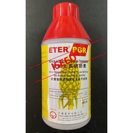 ETER PGR 500 ML (HORMON / PENGGALAK BUAH NANAS TANAMAN, NANAS MASAK SERENTAK)