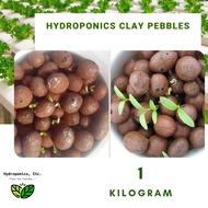 Hydroton Clay Pebbles (1kg) by Hydroponics, Etc.