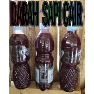 Alfrisa^ Marus Darah Sapi