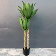 ต้นไม้ปลอม  ต้นอากาเว่ ต้นไม้แต่งบ้าน ต้นไม้สไตล์มินอมอล (พร้อมส่ง)Plant-L Aka+pot