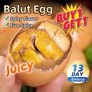 Balut Egg Whole Box to Eat Spicy Balot/Salted Egg/Flavored Balut