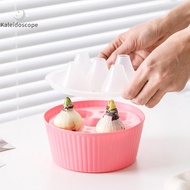 Kaleidoscope Hyacinth Tulip Seed Hydroponic Flowerpot 3/5Holes Pots For Plants Soilless Plant Pot La