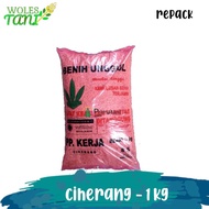 Benih Padi Ciherang 1 Kg PP Kerja