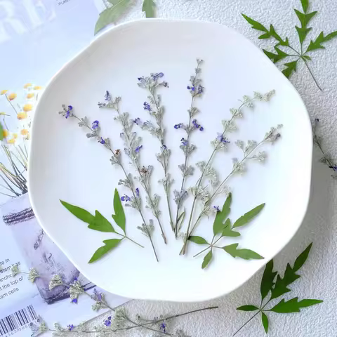 100pcs Pressed Dried Vitex agnus-castus L Flower Resin Epoxy Jewelry Card Bookmark Frame Phone Case 