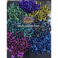 GR5 6li15 6li20 titanium screws are thick and large, universally mounted on many types of vehicles o